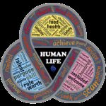 nutshell, security, insecurity