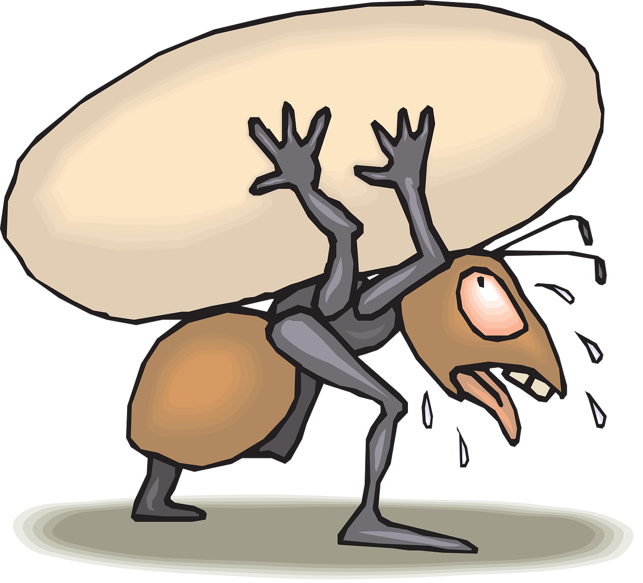 ant, brown, carrying-44588.jpg