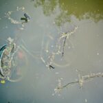 bicycle, flow, absorbed-1405209.jpg