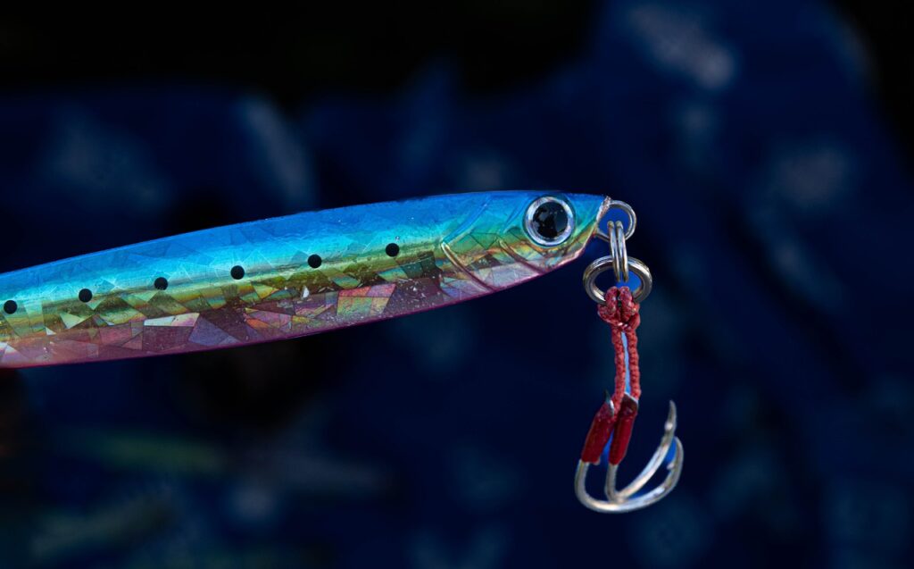 fishing, fish, hook-7189603.jpg