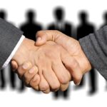 shaking hands, handshake, hands-3091908.jpg